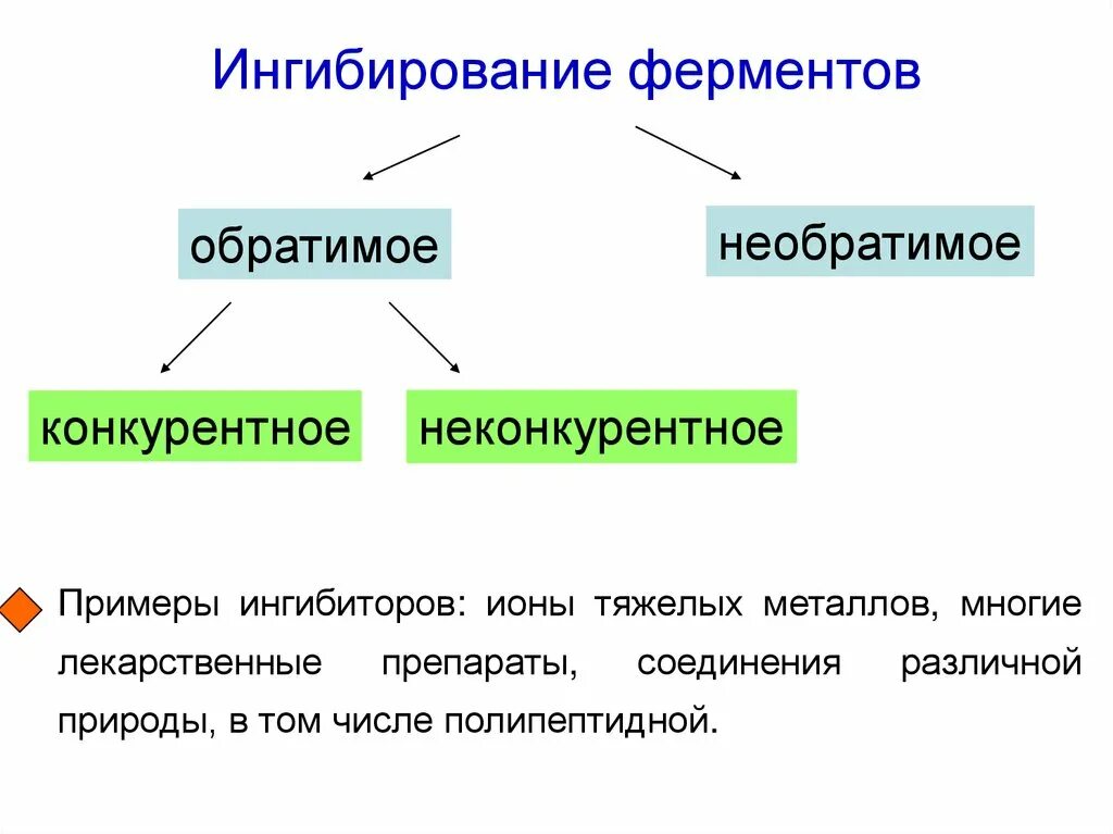 Блокаторы ферментов. Необратимое ингибирование ферментов примеры. Конкурентное ингибирование ферментов примеры. Обратимые и необратимые ингибиторы ферментов. Обратимое ингибирование ферментов примеры.