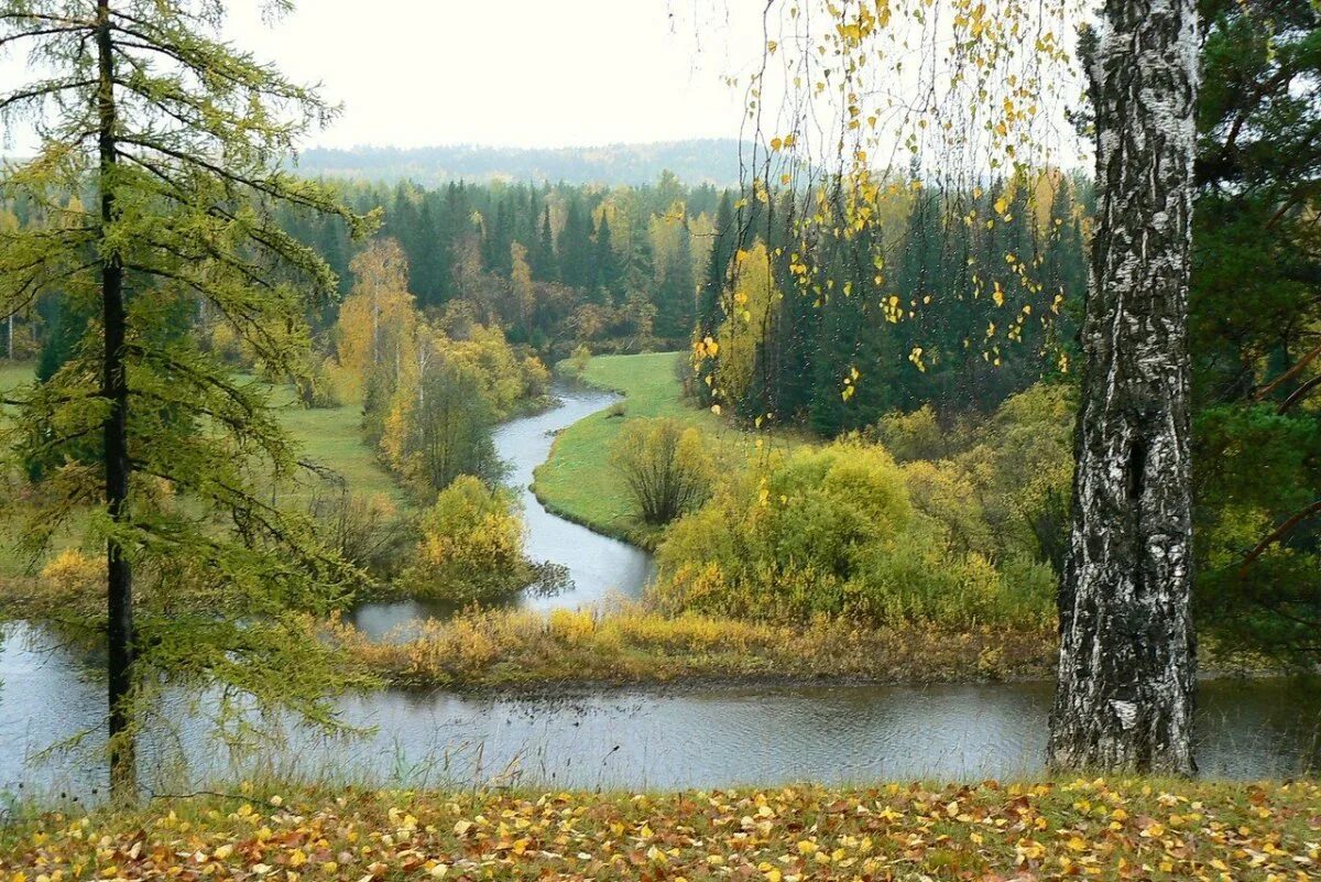 Река Сосьва Свердловская область. Заповедник малая Сосьва. Озера, малая Сосьва. Река Сосьва камень. Какая природа в свердловской области