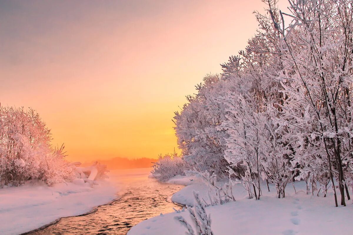 январь. закат зимой. зимнее утро. рассвет зимой. январь.