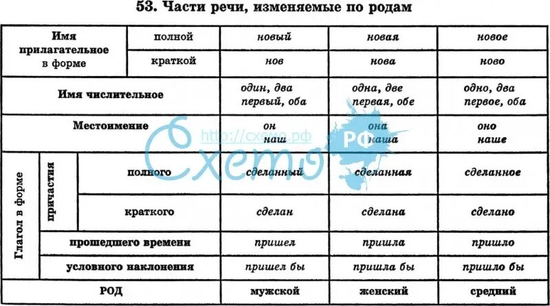 Таблица частей речи 4. Род частей речи. Изменение частей речи таблица. Какие части речи изменяются по числам. Части речи изменяются по родам.