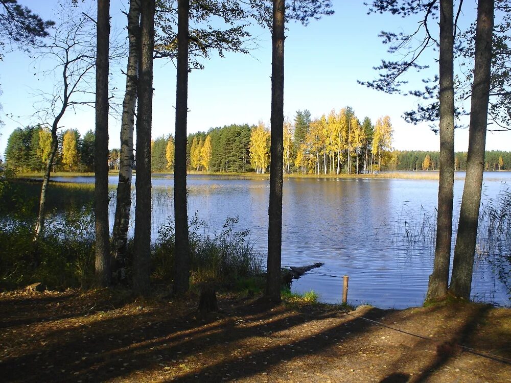 Парки новгородской области