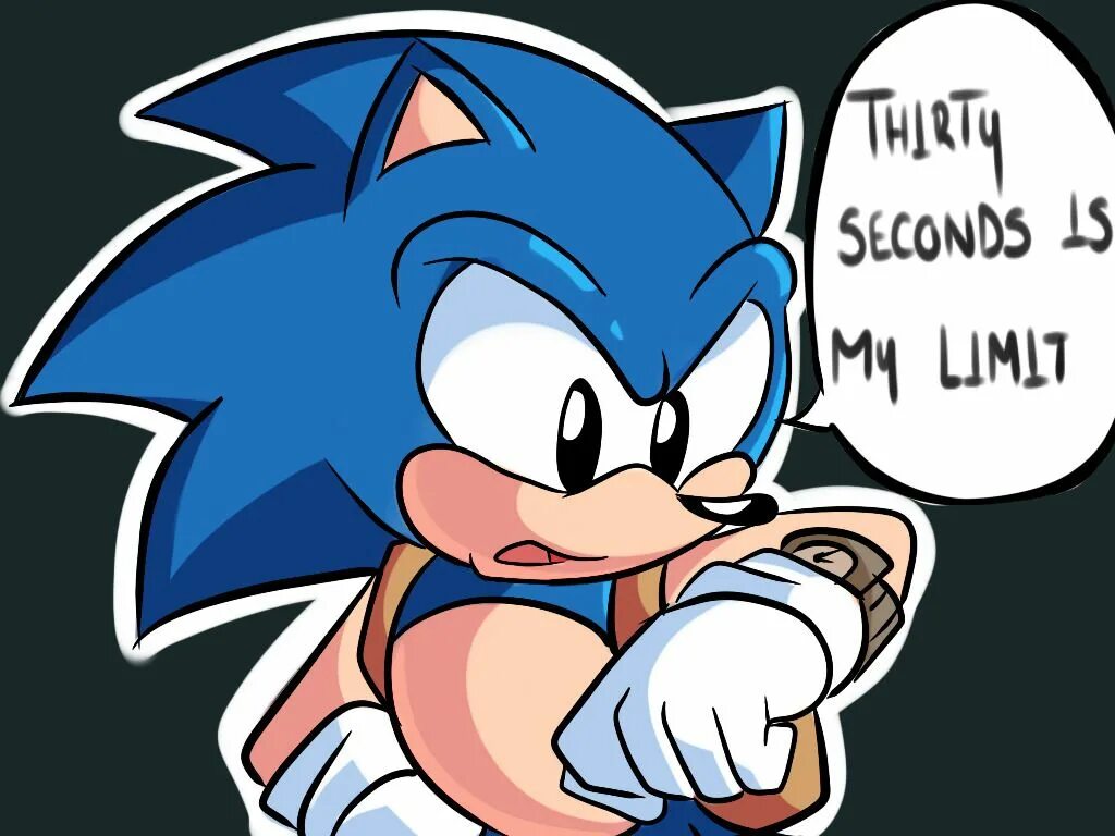 Sonic manual. Хог соник. sonic satam. vs sonic hog. ball hog из соника,.