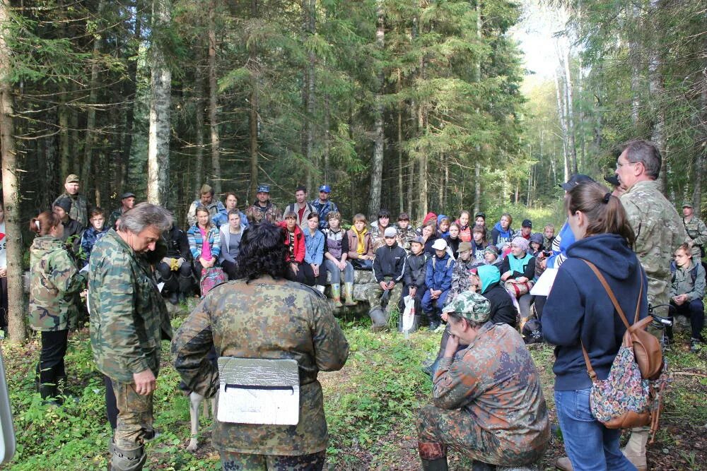 Сайт демянского муниципального. Дуброви Демянский район. Охрино Демянский район. Кривая клетка Демянского района Новгородской области. Новый Скребель.