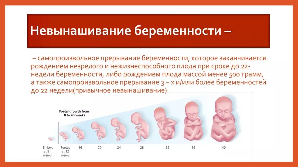 Крови 14 недель. Самопроизвольное прерывание беременности. Поздний самопроизвольный выкидыш.