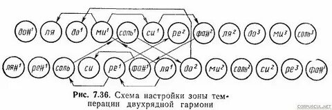 Аккорды на гармони схема