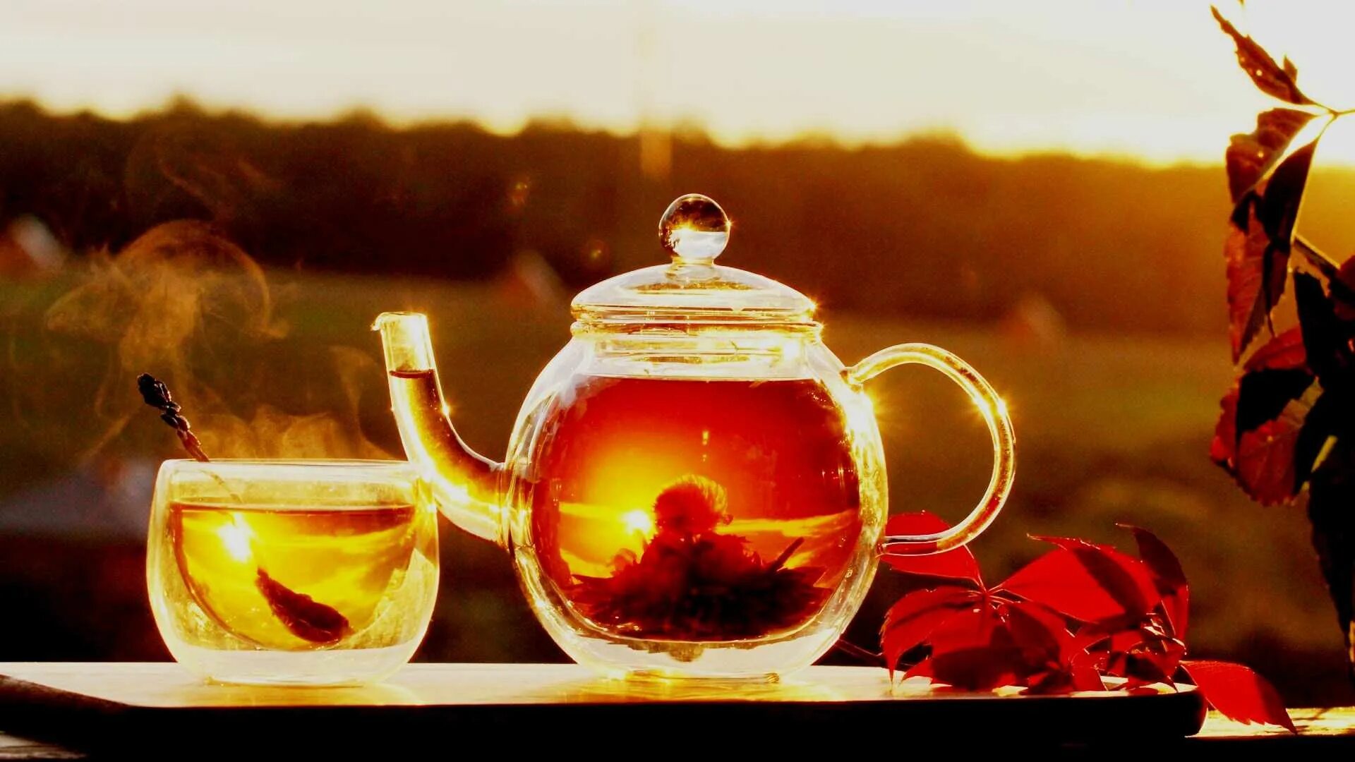Доброе утро хорошего дня чаи. Доброе утро чай. Горячий чай. Чашка чая. Красивый чай.