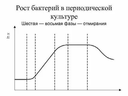 График бактерии
