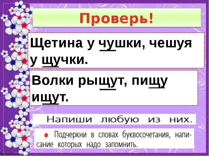 Ча ща 1 класс школа россии. Щетина у чушки чешуя у щучки волки рыщут пищу ищут. Щетина у чушки чешуя у щучки. Буквосочетания жи ши ча ща Чу ЩУ 1 класс. Презентация жи-ши ча-ща Чу-ЩУ 1 класс.