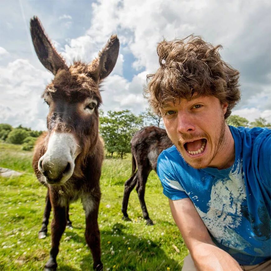 Funny. Аллан Диксон фотограф. Веселые люди и животные. Мужчина на осле. Смешные люди и животные.