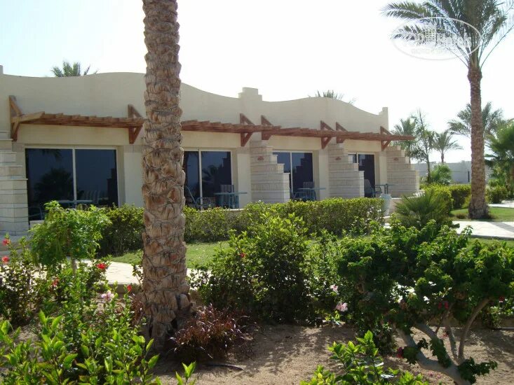 Coral beach hurghada 4. Ротана Хургада отель Корал Бич. Coral Beach Hotel Hurghada.