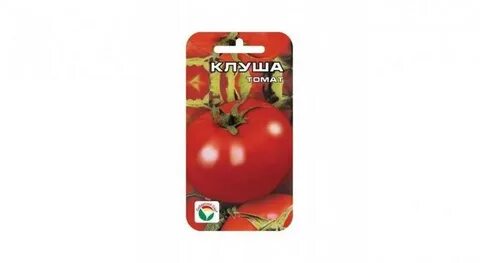 Характеристика отзывы томатов клуша