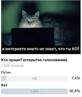Не вижу никого в сети