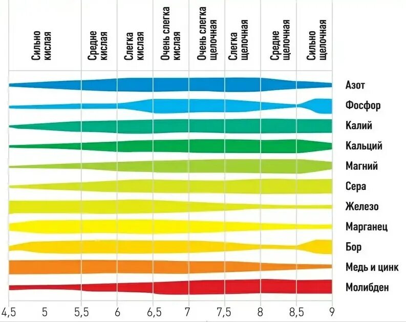 Влияние РН почвы на доступность элементов питания растениям. Показатели кислотности почвы для разных растений. Доступность элементов питания в зависимости от кислотности почвы. Кислотность почвы таблица PH.