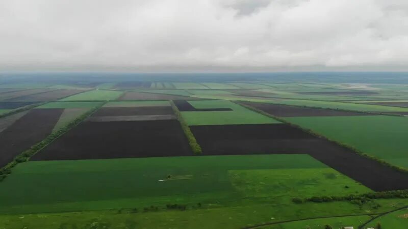 Прогресс Ялуторовский район. Земли сельхоз пользователей Ялуторовского района.