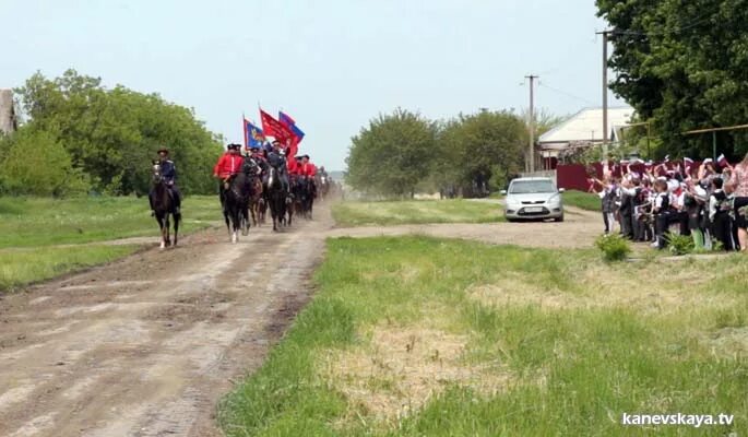 Станица Придорожная Каневского района. Станица Придорожная Краснодарский край. Придорожная Краснодарский край Каневской район. Школа станица Придорожная Краснодарский.