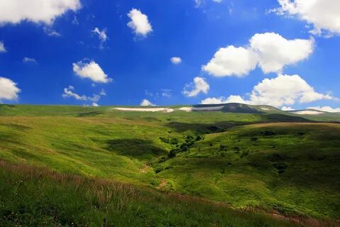 Природа закубанской равнины