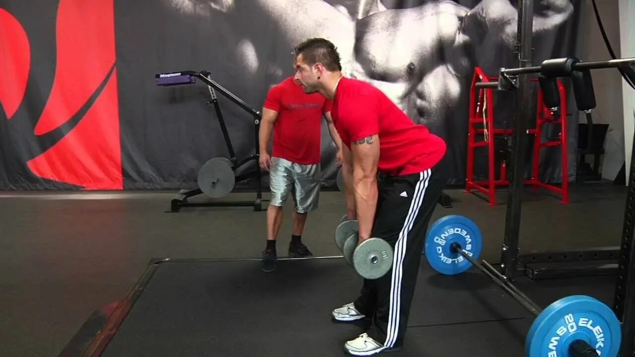 Румынская тяга с гантелями техника выполнения. Dead Lift (румынская тяга). Становая. Становая тяга в Смите для девушек. Румынская тяга gif.