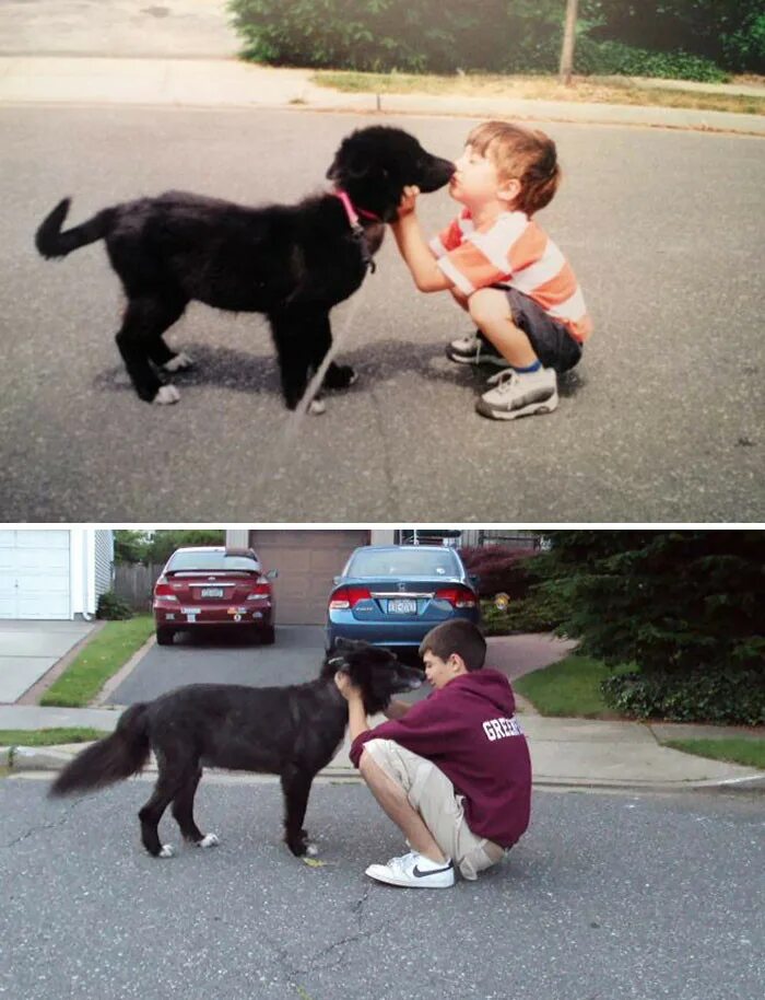 Мальчик вырос с собаками. Собаки до и после взросления. Щенки до и после взросления. Собаки сейчас и потом. Собака всегда рядом с хозяином.