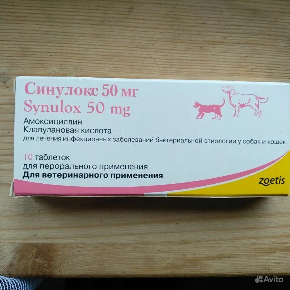Синулокс от чего. Синулокс 500 мг. синулокс 50мл для кошек. антибиотик для собак синулокс 50. синулокс для собак 250.