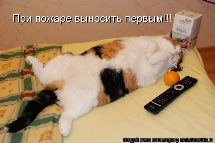 девушка просыпается утром. утро выносить. ранний подъем утром. утро выносить. утро выносить.