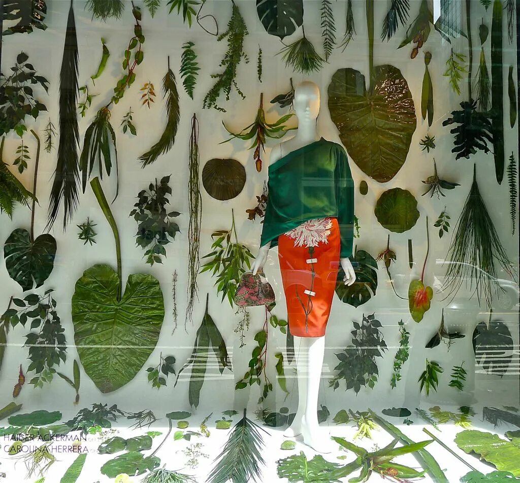 Tropical shop. Тропическая витрина. Витрина тропики. Тропический магазин. Витрина с тропическими растениями.