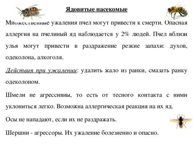 Укусы насекомых и защита от них обж. Яд насекомых. Опасные жалящие насекомые. Опасные насекомые 2 класс. Лесные опасности 2 класс окружающий мир насекомые.