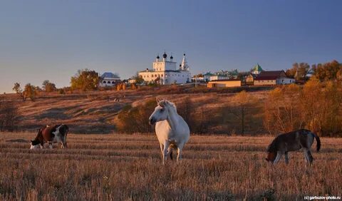 Когда в одоеве 10 утра в барнауле