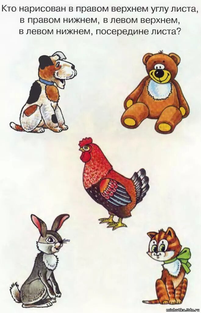 Ориентировка в пространстве верх низ. Ориентировка в пространстве 4 года. Задания на ориентировку в пространстве. Н. Задания на расположение предметов в пространстве.