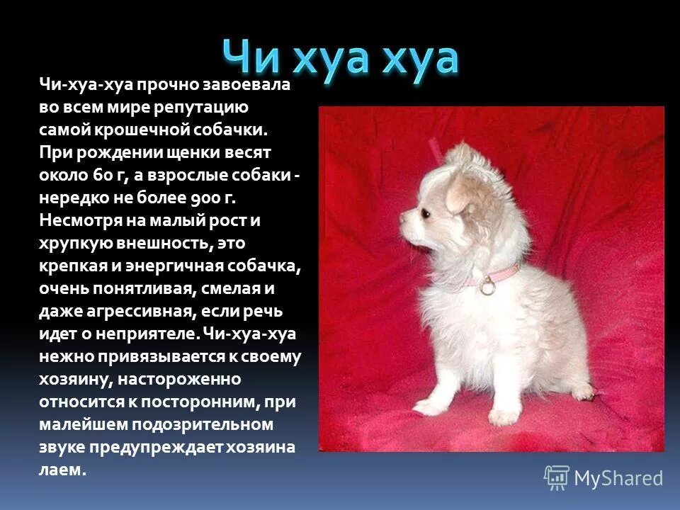 Хуа значение имени. Благословение небожителей / tian guan ci fu. Цзин лин магистр дьявольского культа. Хуа значение имени. Хуа чен женщина.