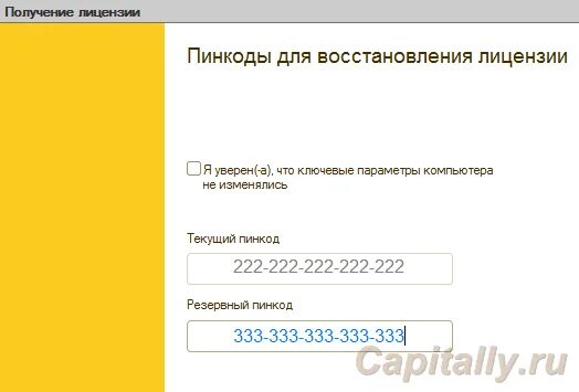 Где файл лицензии 1с. Пин коды 1с 8.3. Пин коды 1с Базовая. Резервные пин коды 1с. Активация лицензии 1с.