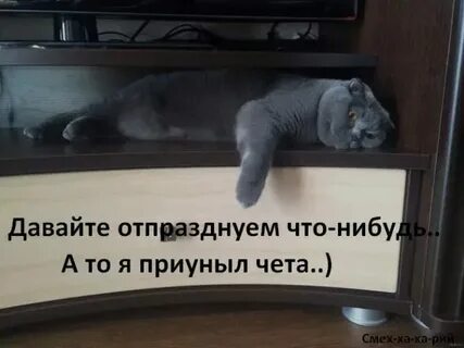 Картинки давай отметим