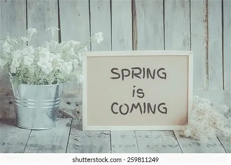 Spring to come. Spring is coming. spring is coming автор. spring is coming spring is coming birdies. spring will come soon.