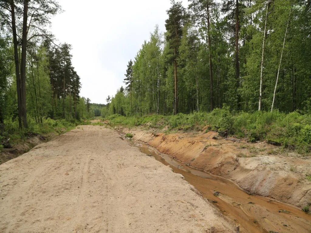 Новый свет коттеджный поселок. Участок село приветное крым. С приветное ул заречная крым участок. Приветное участки. Приветное участки.