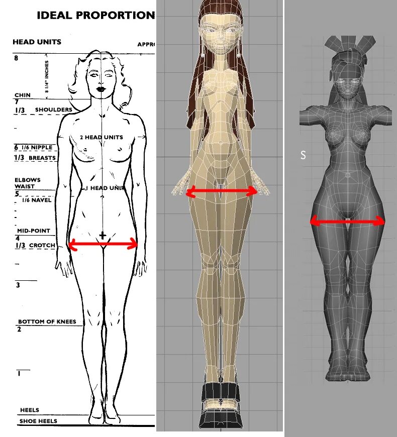 Proportion testing. Large proportion. Human proportions. Severe croup. Anatomy proportions.