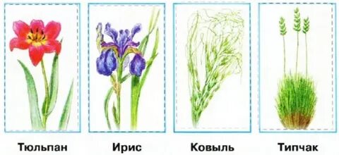 Нарисуй или наклей иллюстрации подпиши их