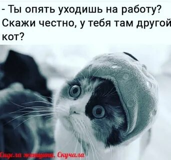 Скажи как ты там без меня