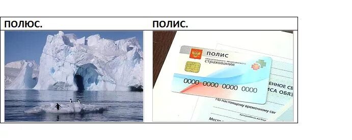 Страховые полисы или полюса