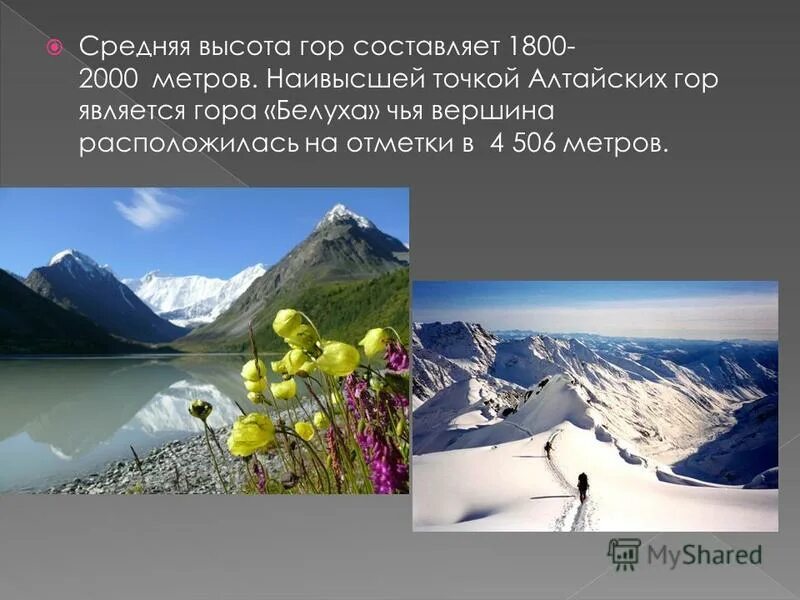 Абсолютная высота алтайских гор. Средняя высота алтайских гор. Высота горы Алтай. Алтайские горы высота в метрах. Горы средней высоты на Алтае.