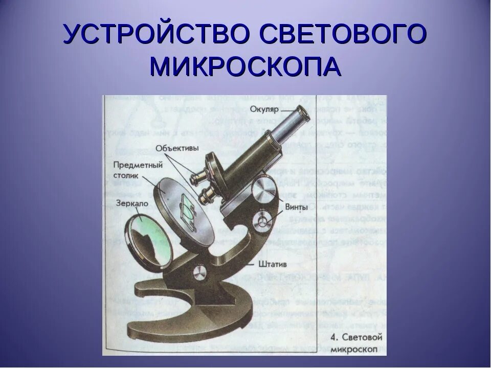 Изображение микроскопа. 3. Строение светового микроскопа.. Школьный световой микроскоп. Световой микроскоп изображение. Изучение устройства светового микроскопа.