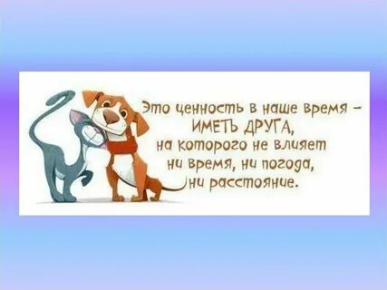 Лучше иметь друга чем друг друга значение