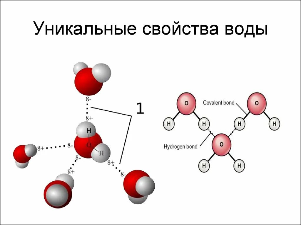 Молекула воды и льда. Структура молекулы воды. Строение молекулы воды. Химическая структура воды. Строение воды биохимия.