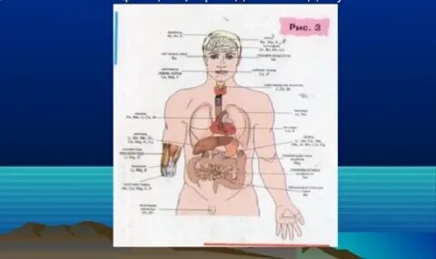 Тікелей дәретхана құлының порносын онлайн көріңіз