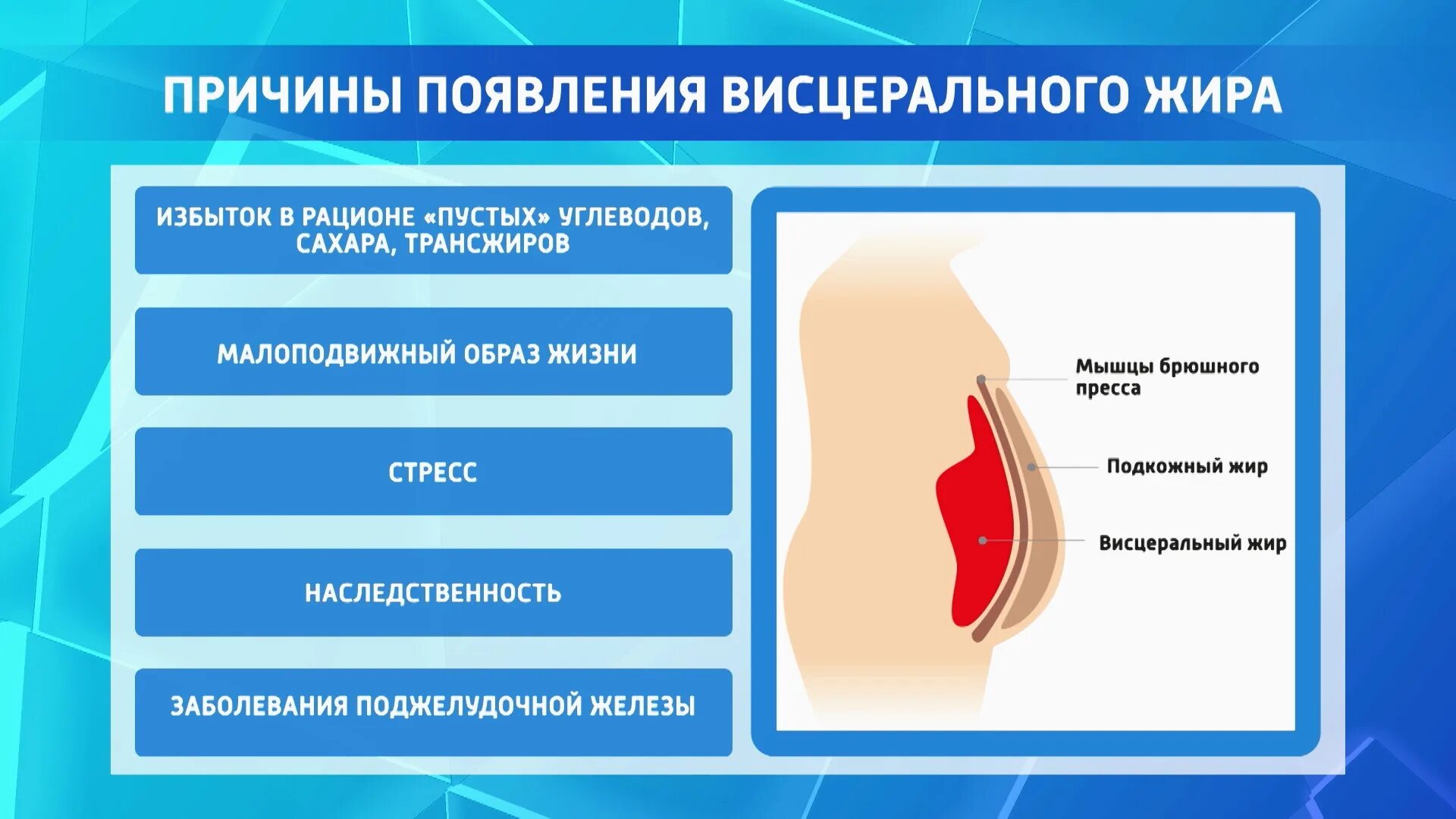 Как избавиться от висцерального жира у мужчин