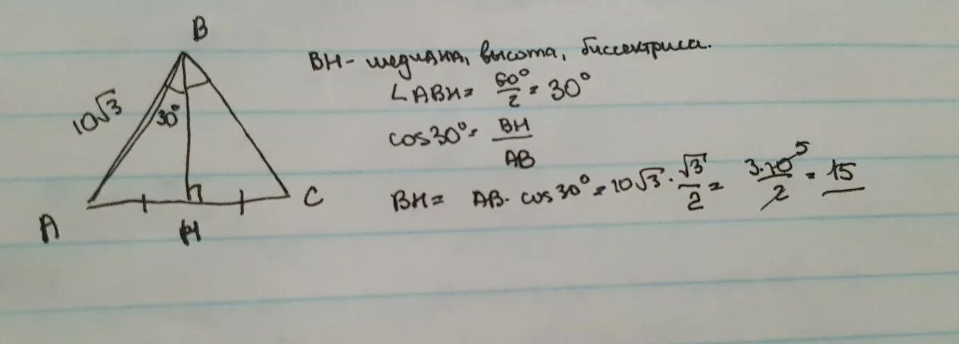 Биссектриса равнобедренного треугольника равна 12 3. Высота равностороннего треугольника. Медиана равностороннего треугольника равна.