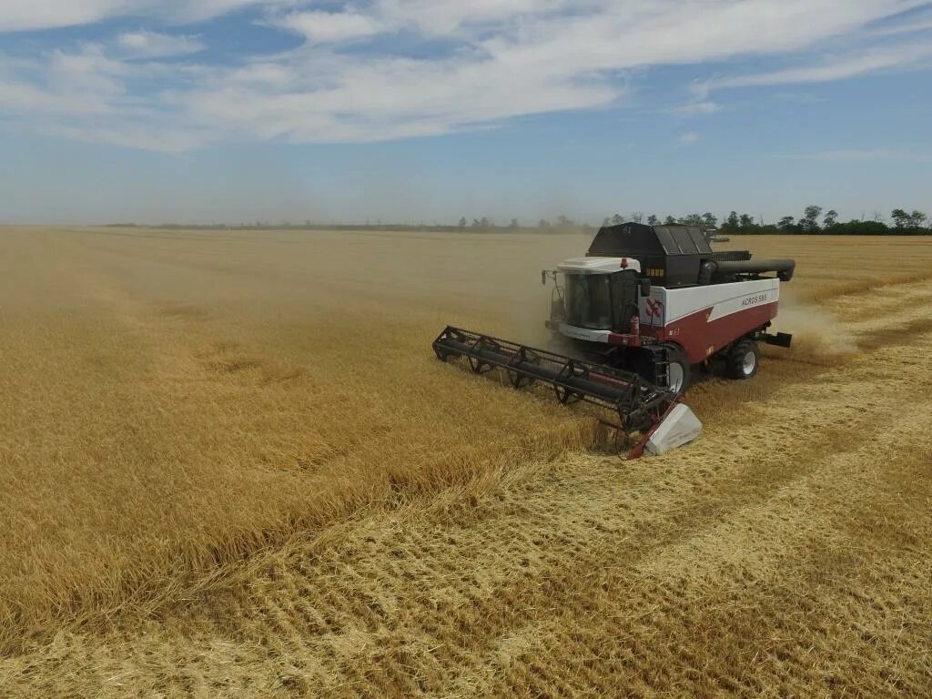 Жатва в шаблыкино. Жатва 5. Уборка урожая зао макеево. Картина сбор урожая. Уборка урожая.