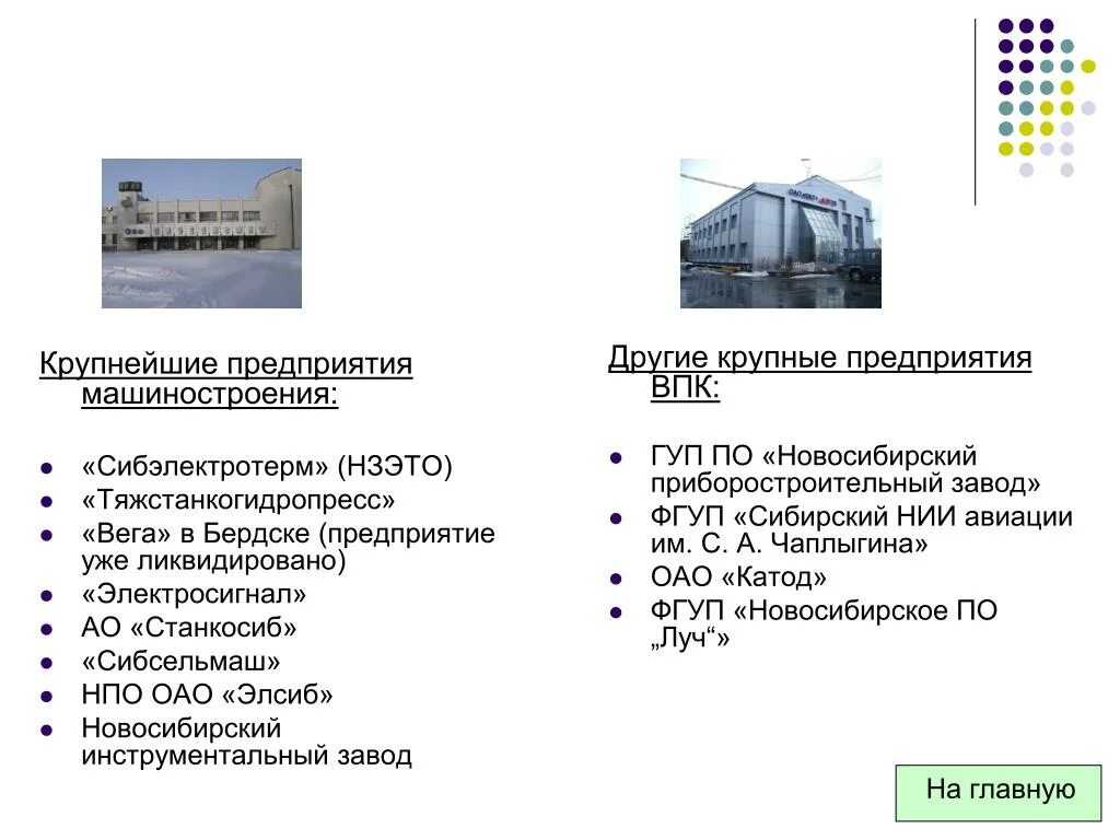 Какая экономика в новосибирске. Предприятия промышленности Новосибирской области. Крупные предприятия Новосибирской области. Крупнейшие предприятия машиностроения. Машиностроение в Новосибирской области.