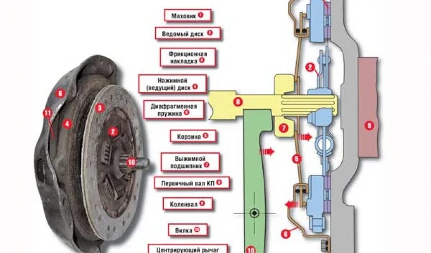 Почему не включается сцепление. Схема работы сцепления. Из чего состоит сцепление автомобиля. Принцип работы сцепления. Как устроено сцепление автомобиля.