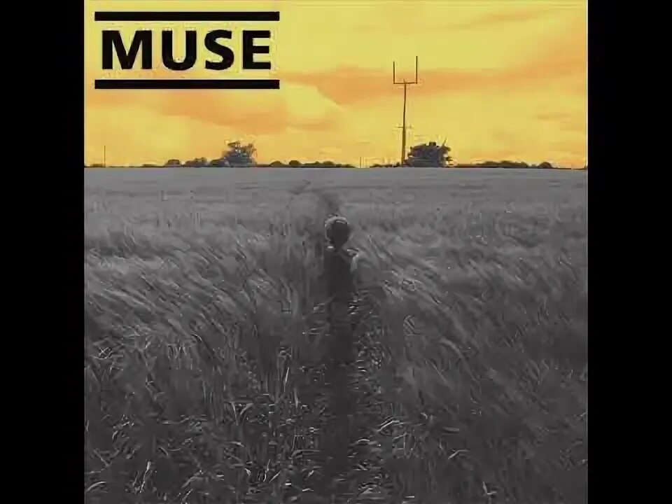 Счастливая толпа. Группа muse 2021. Человек толпы. Will of people. Muse will of the people обложка.