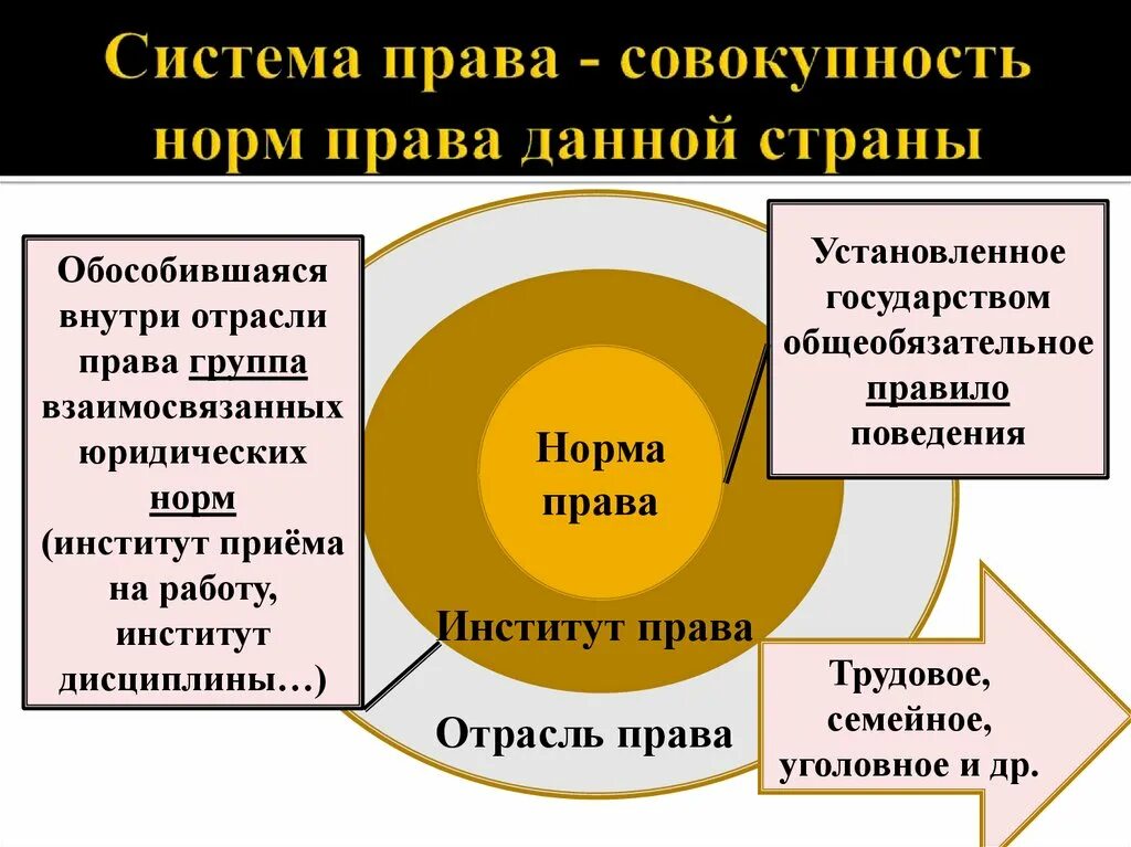 Система социальных прав. Право в системе социальных норм. Раво в системе социальных норм»..