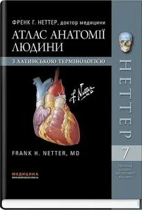 Атлас неттер 7 издание